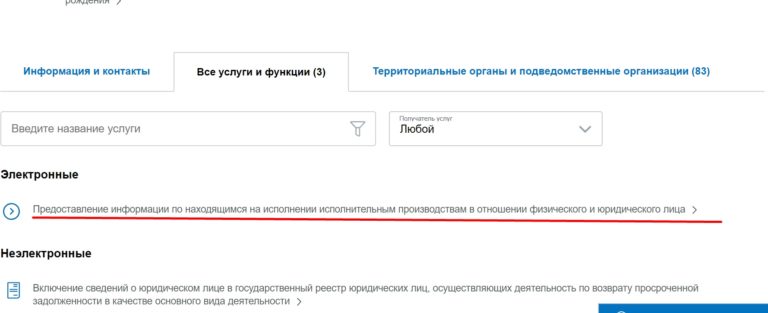 Как узнать, есть ли запрет на выезд за границу (бесплатно через Госуслуги)? | Lovely life